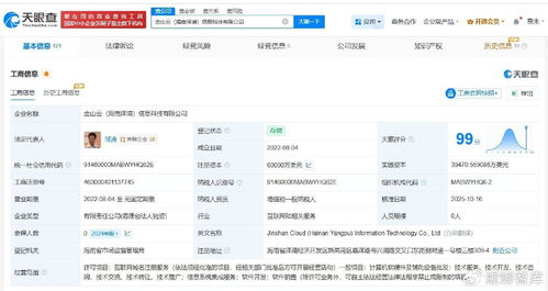 金山云旗下海南洋浦信息科技公司完成增资，注册资本跃升至6亿美元，增幅达20%，专注信息系统集成服务