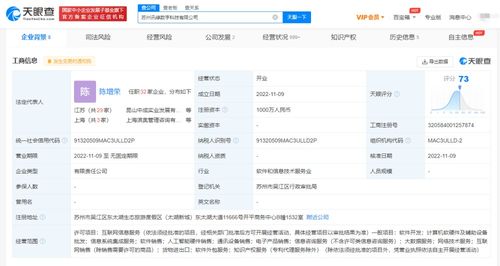 信息系统集成服务 连接、优化与赋能